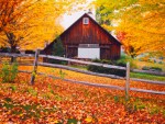 Autumn country side in Vermont